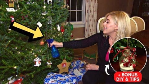 How To Keep Pets Away From Your Christmas Tree | DIY Joy Projects and Crafts Ideas