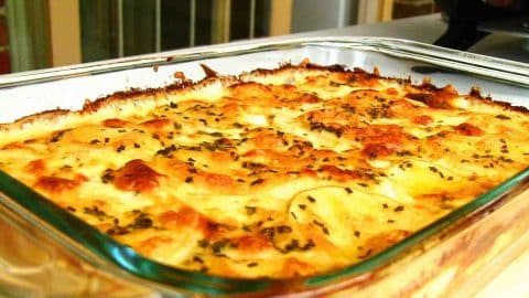 Cheesy Scalloped Potato Casserole Recipe | DIY Joy Projects and Crafts Ideas