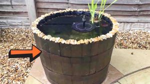 DIY Half Barrel Pond Tutorial