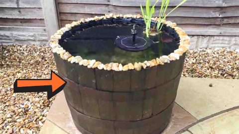 DIY Half Barrel Pond Tutorial | DIY Joy Projects and Crafts Ideas