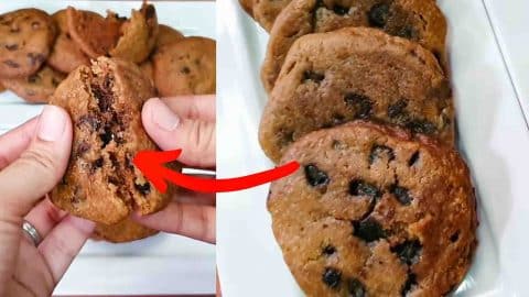 No-Bake Chocolate Chip Cookies Recipe | DIY Joy Projects and Crafts Ideas