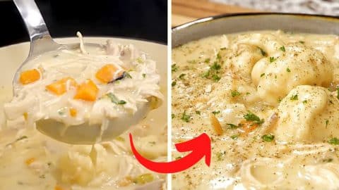 Best Chicken and Dumplings Recipe | DIY Joy Projects and Crafts Ideas