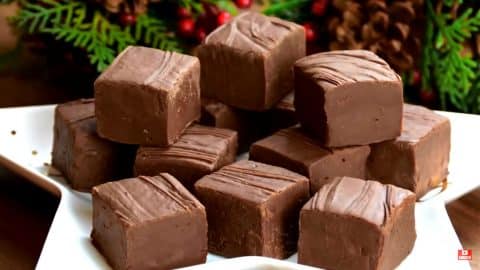 Easy 5-Ingredient Chocolate Fudge | DIY Joy Projects and Crafts Ideas