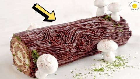 Easy Chocolate Vanilla Yule Log Recipe | DIY Joy Projects and Crafts Ideas