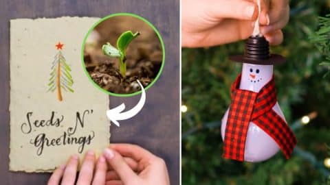 5 Smart Christmas Tips & Hacks | DIY Joy Projects and Crafts Ideas