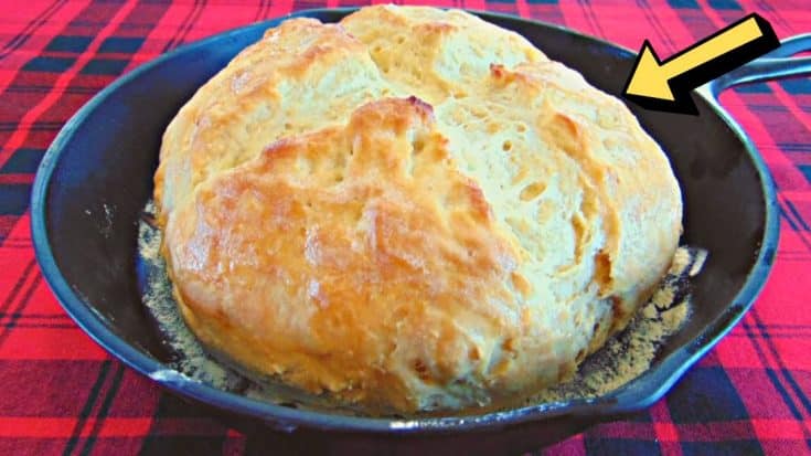 4 Ingredient No Fail Irish Soda Bread Recipe DIY Joy