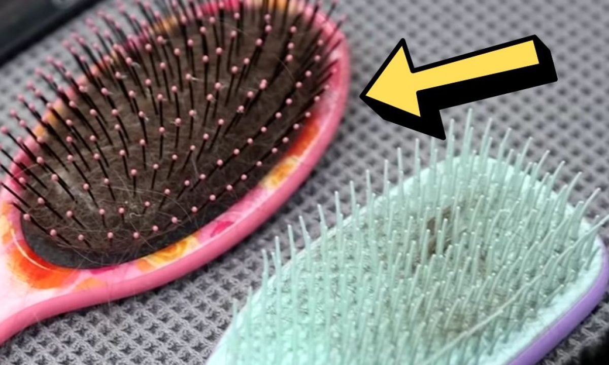 How to Clean a Hairbrush