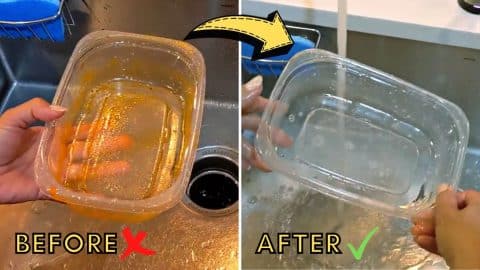 How To Clean Greasy Plastic Containers Easily | DIY Joy Projects and Crafts Ideas