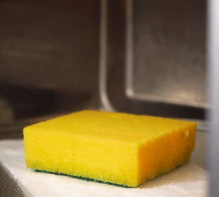How To Clean Sponge In The Microwave
