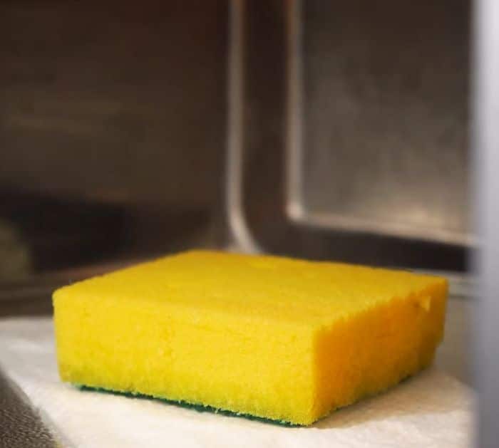 How to Clean a Sponge in the Microwave