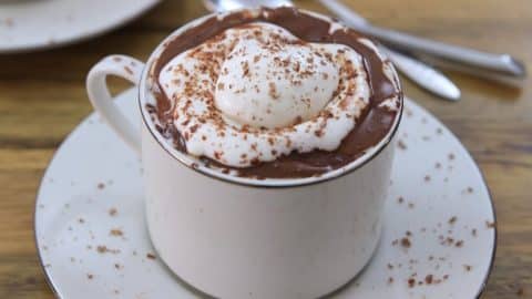 Creamy Italian Hot Chocolate Recipe | DIY Joy Projects and Crafts Ideas