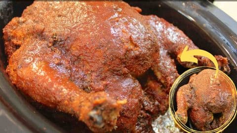 Crock Pot BBQ Beer Can Whole Chicken | DIY Joy Projects and Crafts Ideas