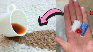 How To Clean Carpet Stain In Just 1 Minute