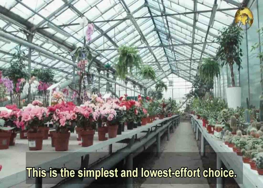 Selecting the appropriate plants for your zone.