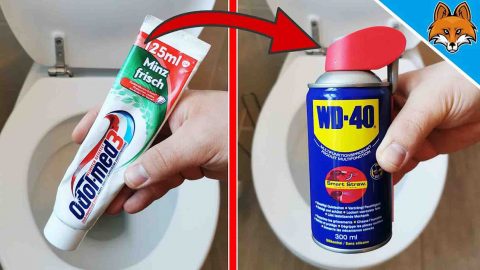 5 Toilet Cleaning Tricks That Will Change Your Life | DIY Joy Projects and Crafts Ideas