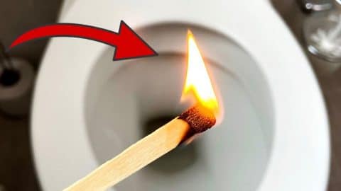 A Must-Try Life-Saving Toilet Hack Using Match | DIY Joy Projects and Crafts Ideas