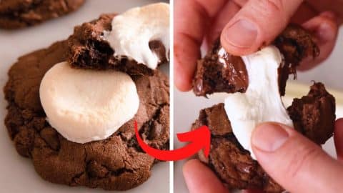 Amazing Hot Chocolate Cookies | DIY Joy Projects and Crafts Ideas