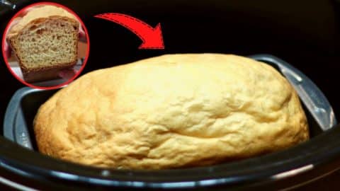 6-Ingredient Crockpot Bread Recipe | DIY Joy Projects and Crafts Ideas
