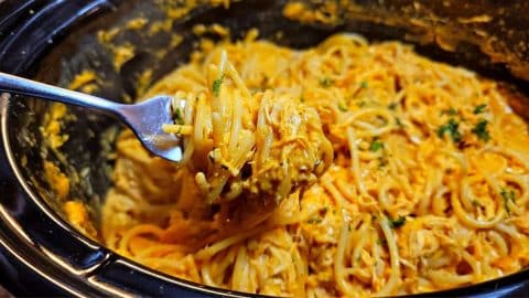 Easy Crockpot Buffalo Chicken Spaghetti Recipe | DIY Joy Projects and Crafts Ideas