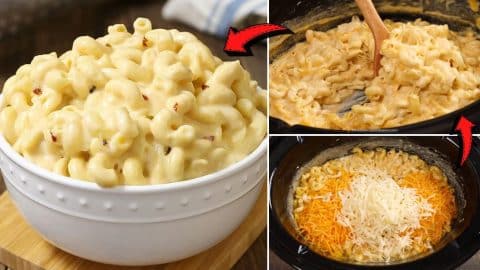 Easy Crockpot Mac and Cheese With Cream Cheese Recipe | DIY Joy Projects and Crafts Ideas