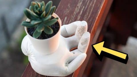 How to Make a DIY Cement Hand Planter | DIY Joy Projects and Crafts Ideas