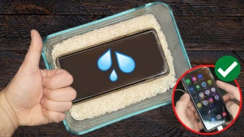How to Save Water-Damaged Cellphone with Rice | DIY Joy Projects and Crafts Ideas