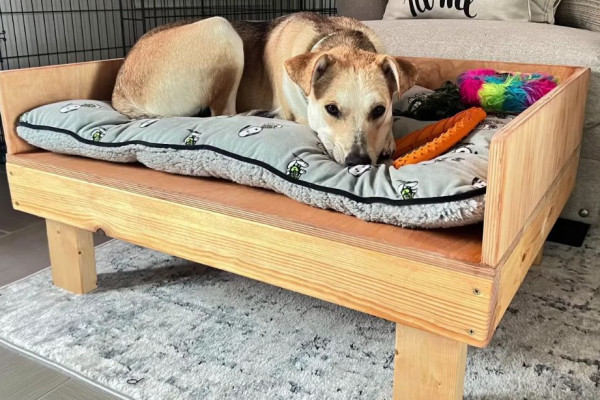 Learn How to Build a Dog Bed in 60 Seconds