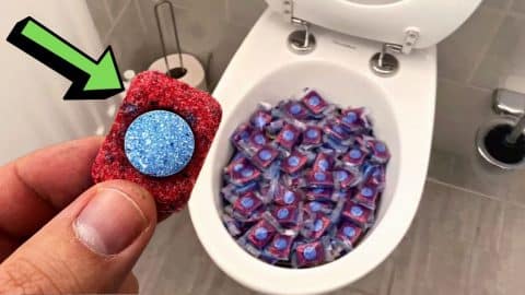 Learn This Must-Try Dishwashing Tab Toilet Hack | DIY Joy Projects and Crafts Ideas