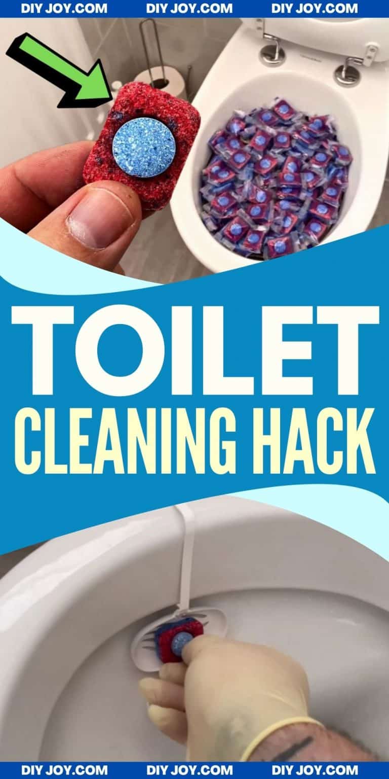Learn This MustTry Dishwashing Tab Toilet Hack