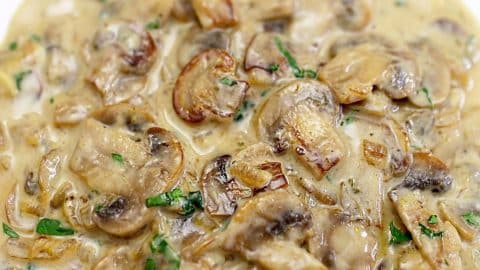 Quick and Easy Creamy Mushroom Sauce Recipe | DIY Joy Projects and Crafts Ideas