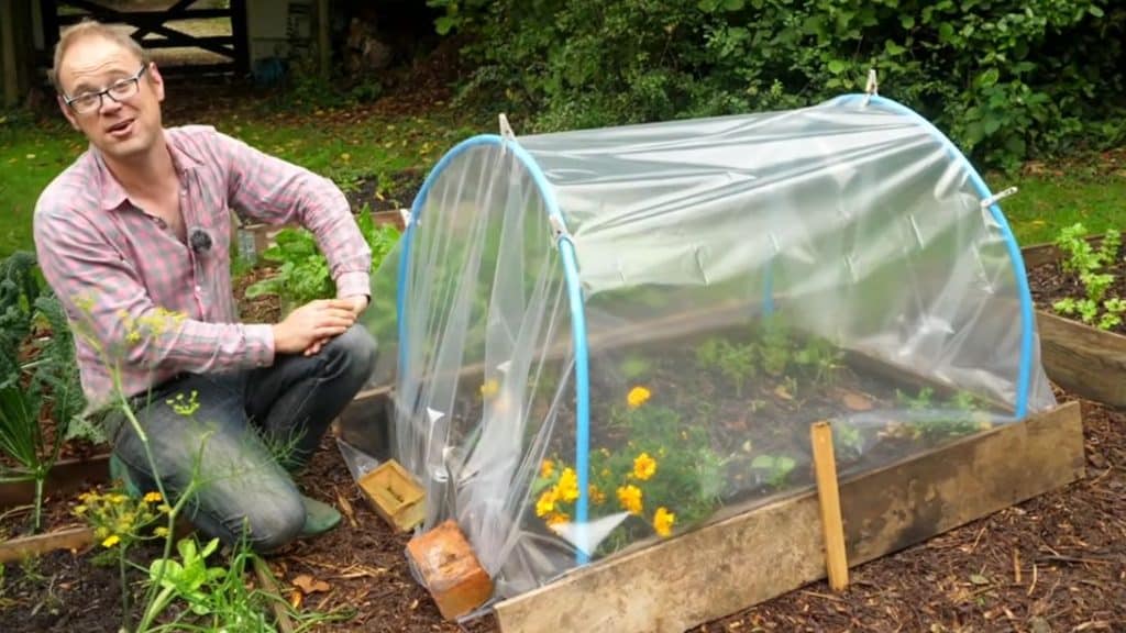 Thrifty Ways To Keep Plants Cozy This Winter