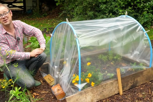 Thrifty Ways To Keep Plants Cozy This Winter