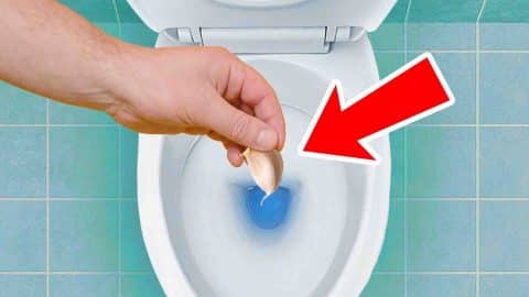 How To Keep Your Toilet Odor-Free | DIY Joy Projects and Crafts Ideas