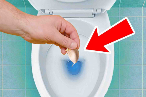 How To Keep Your Toilet Odor-Free