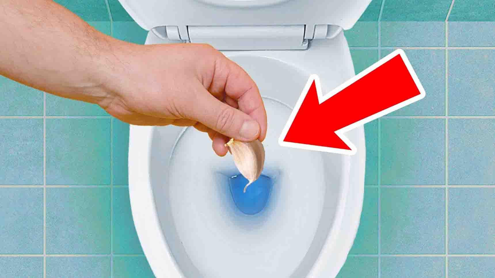 How To Keep Your Toilet Odor Free Tutorial 