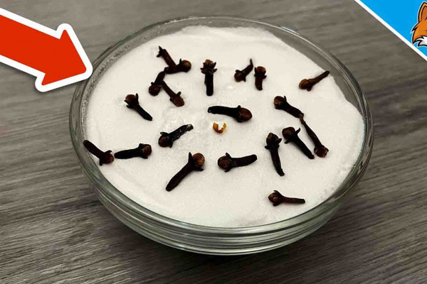 How To Make Your Home Smell Fresh And Clean Always