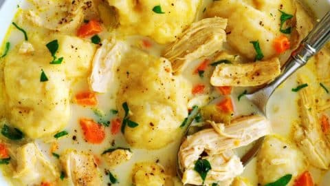 Creamy Chicken and Dumplings Recipe | DIY Joy Projects and Crafts Ideas
