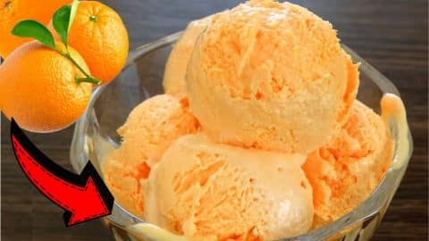 Easy 6-Ingredient Orange Ice Cream Recipe | DIY Joy Projects and Crafts Ideas