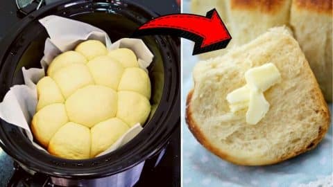 Easy Slow Cooker Honey Butter Dinner Rolls Recipe | DIY Joy Projects and Crafts Ideas
