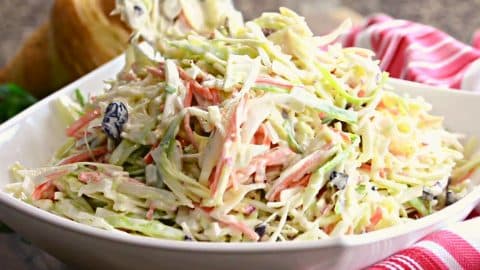 Easy-to-Make Fresh Apple Raisin Coleslaw | DIY Joy Projects and Crafts Ideas