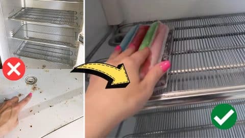 How to Clean Stinky Fridge or Freezer | DIY Joy Projects and Crafts Ideas