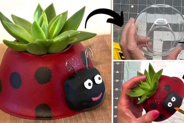 How to Make a Cute DIY Ladybug Planter