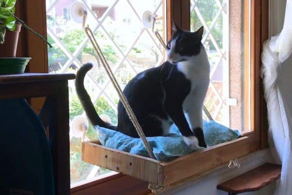 How to Repurpose Wooden Tray Into DIY Cat Window Seat