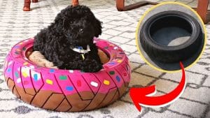 How to Repurpose an Old Tire Into a Dog Bed