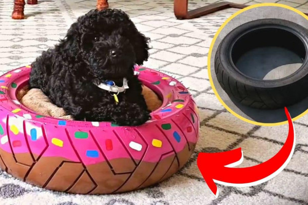 How to Repurpose an Old Tire Into a Dog Bed