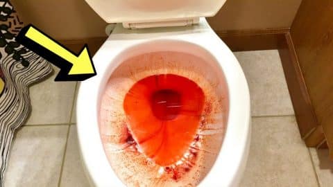 8 Toilet Cleaning Hacks for Lazy People | DIY Joy Projects and Crafts Ideas