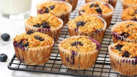 Blueberry Oatmeal Muffins Recipe | DIY Joy Projects and Crafts Ideas