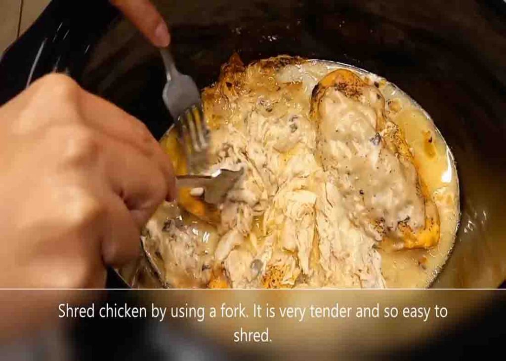 Shredding the creamy mushroom chicken breasts