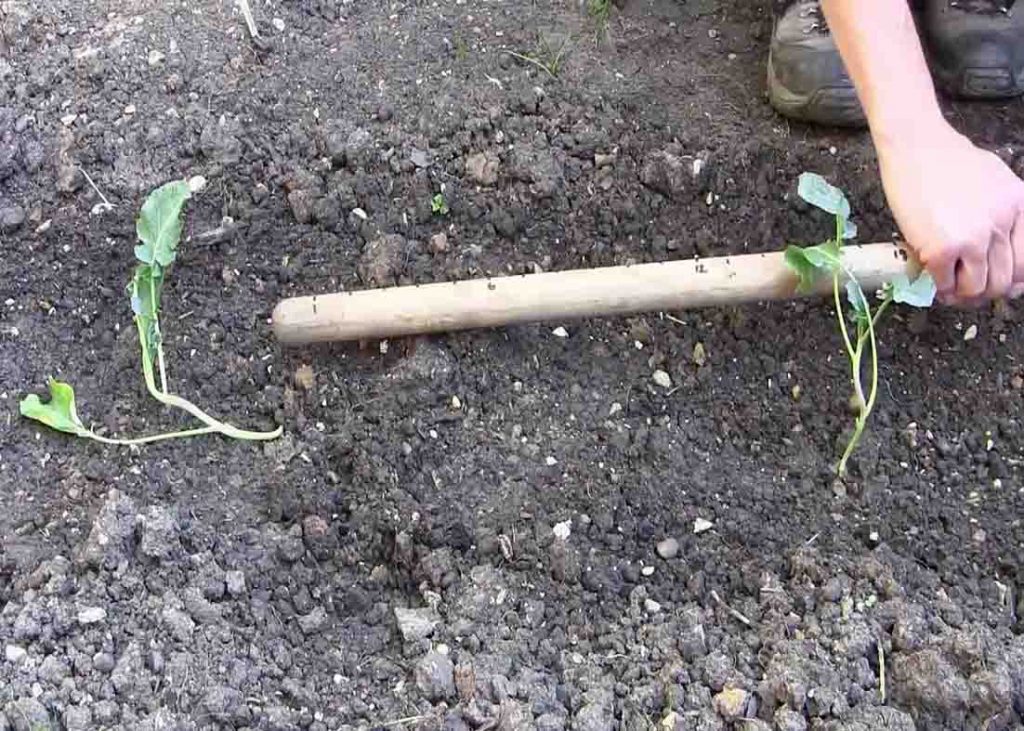 Measuring the garden with a make-shift tape measure using a long stick