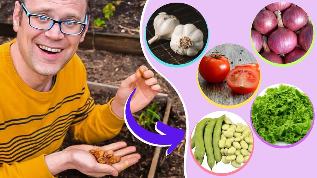 5 najlepších druhov zeleniny na začiatok jari